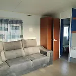 Camping Albox
